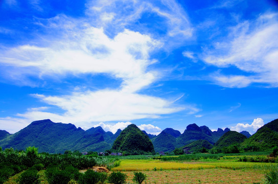 田园风景