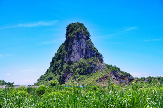 一峰独秀