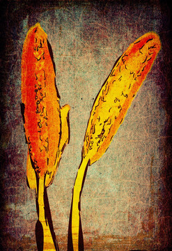 抽象畫(huà) 裝飾畫(huà)