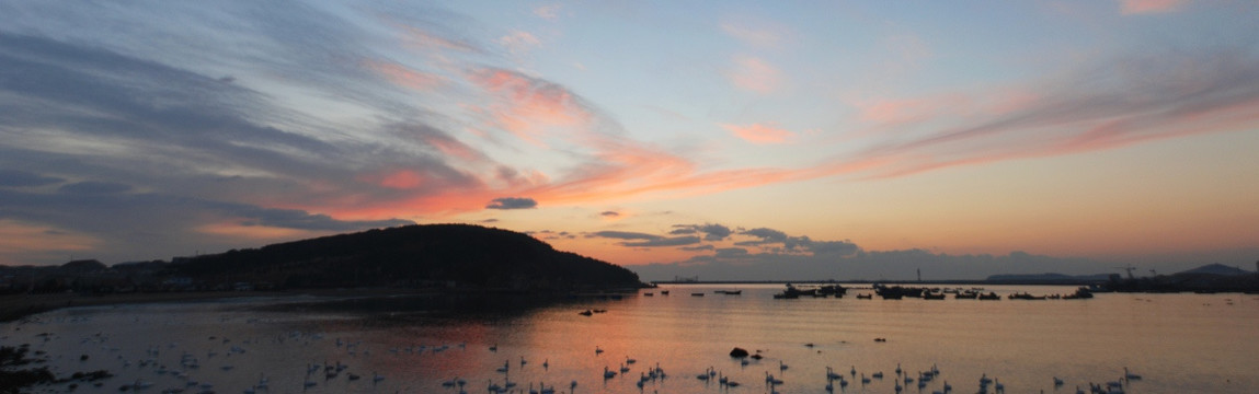 烟墩角 天鹅 海豚湾 日出