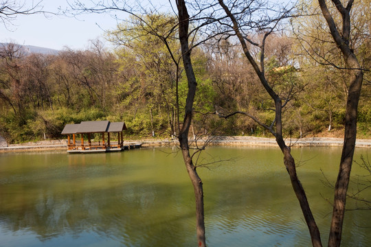 善卷洞风景区 宜兴 旅游 景点