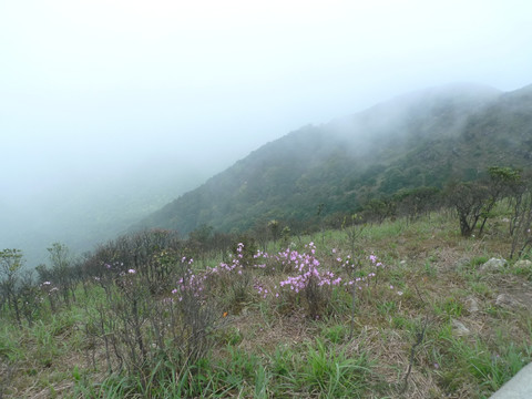 银屏山风景