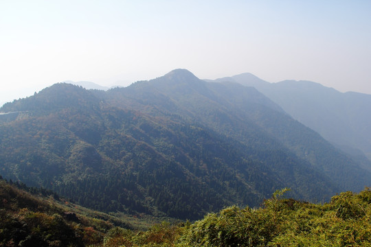 南岳衡山风景区 森林 植被