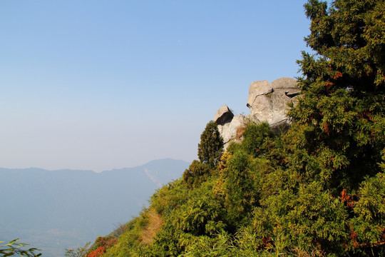 南岳衡山风景区 森林 植被