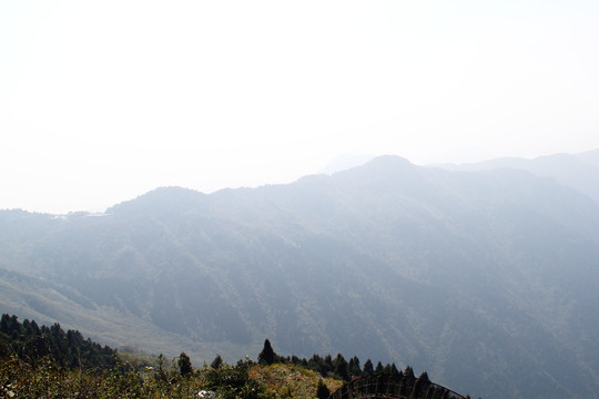 南岳衡山风景区 森林 植被