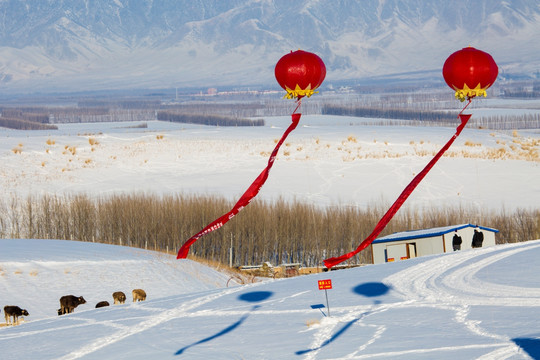 红气球   氢气球  雪景