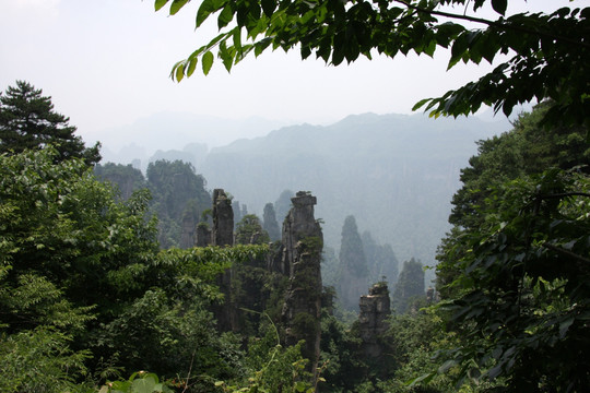 巍峨山峰满山碧绿蓬荜生辉