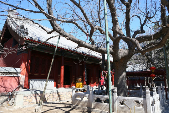 北京八大處公園