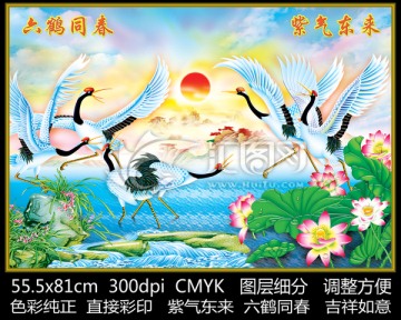 六鶴同春 旭日東升
