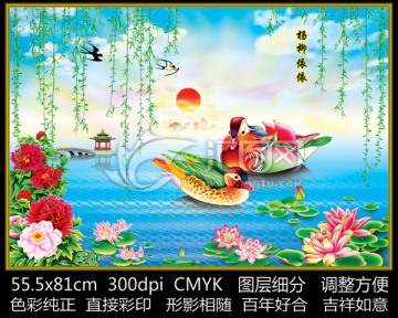 鴛鴦 形影相隨