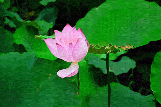 抽象畫(huà) 油畫(huà) 裝飾畫(huà) 荷花
