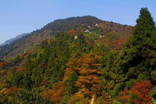 南岳衡山风景区 森林 植被