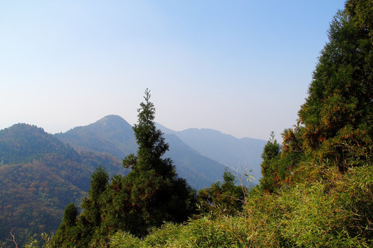 南岳衡山风景区 森林 植被