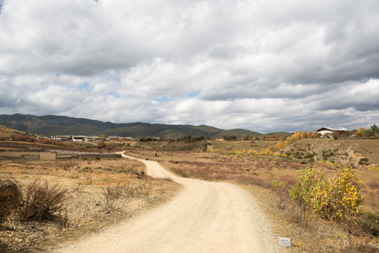 云南香格里拉田野道路