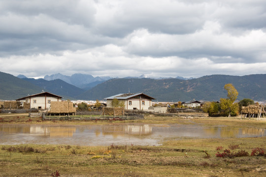 云南香格里拉田野