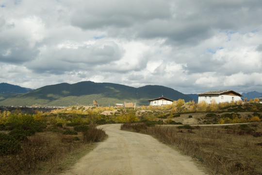 香格里拉田野