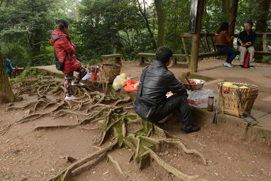 青城山古树盘根小商贩