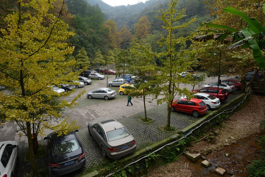 青城山停车场秋色