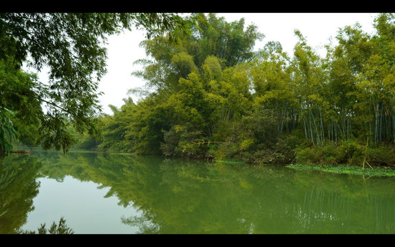 江水竹林