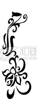 黑白花邊