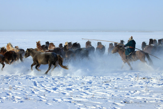 冬季雪地套马