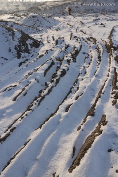 雪地车辙