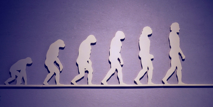 人类进化历程