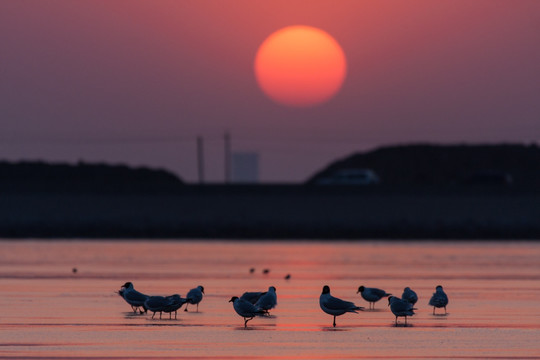 海边日落 红彤彤