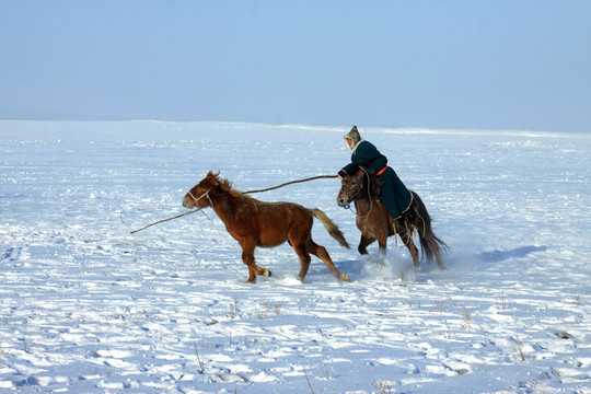 冬季雪地套马