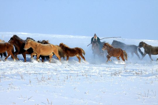 冬季雪地套马