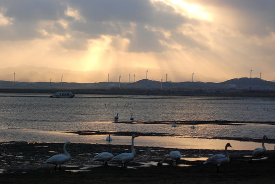 天鹅湖 夕阳 落日余晖 山脉