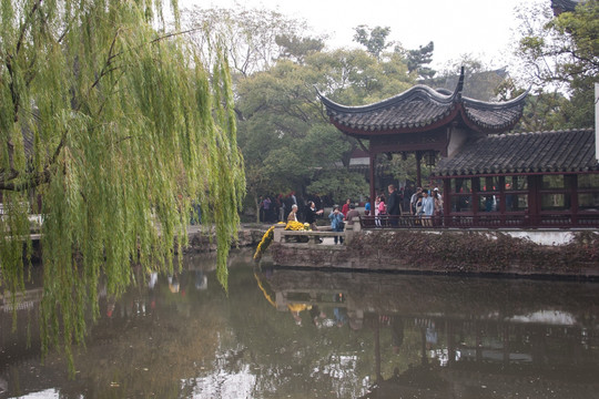 留园 池塘 绿树成荫 亭台楼阁