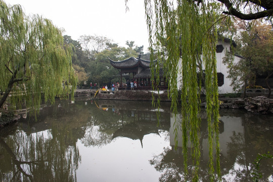 留园 池塘 绿树成荫 亭台楼阁