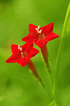 抽象畫(huà)  合層