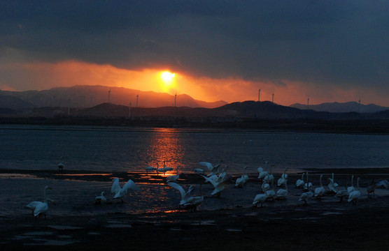 天鹅湖 夕阳 落日余晖 山脉