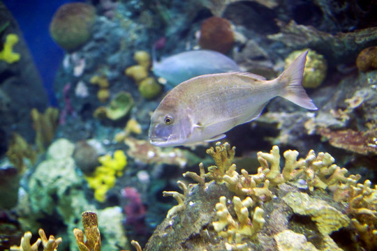 海底世界 海洋生物 长风公园