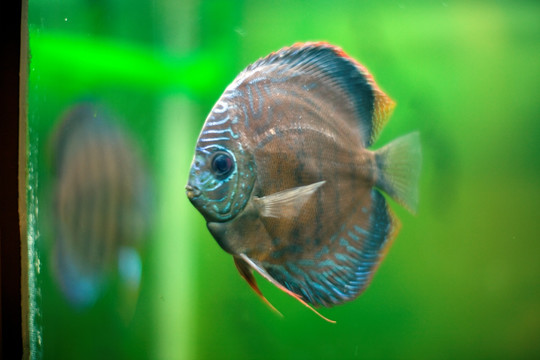 海底世界 海洋生物 长风公园