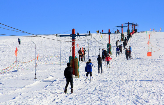 滑雪场 雪原 雪地