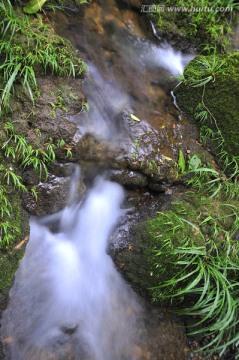 山涧流水