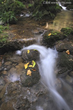 小溪流水