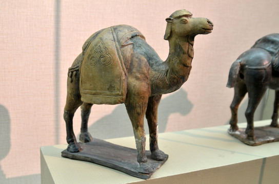 灰陶骆驼