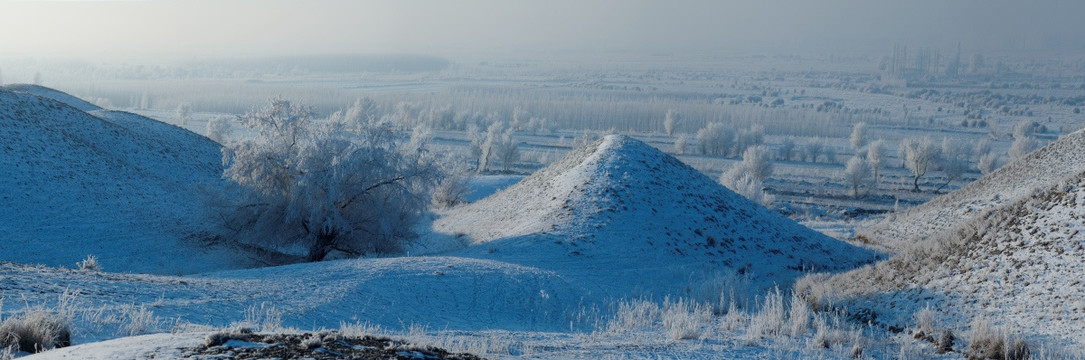 山坡上的树 雾凇冰挂 冰雪荒原