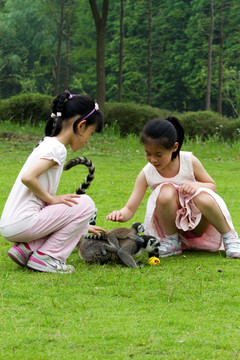猴子 狐猴  上海野生动物园