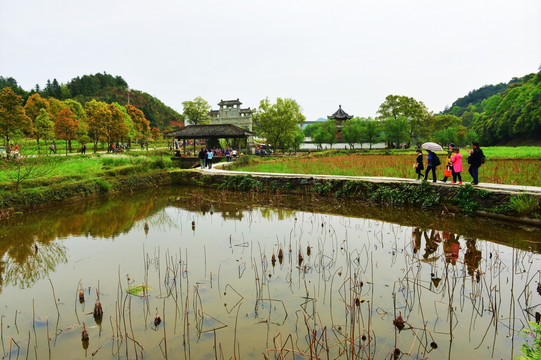 婺源旅游（高清）