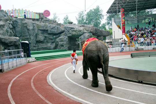 马戏表演 上海野生动物园 时尚