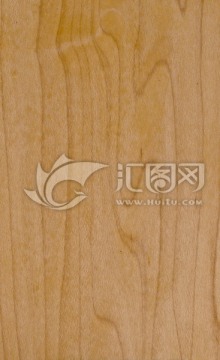 枫木 木纹 地板 纹理