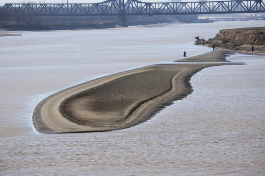 黄河河心湿地