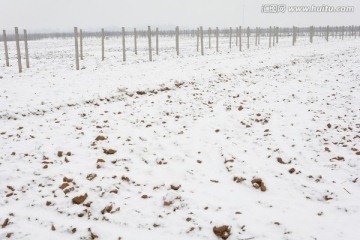 雪景 冬景