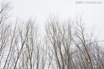 雪景 冬景