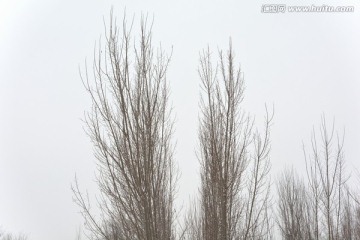 雪景 冬景